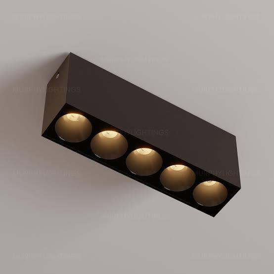 WhatsApp Image 2025-02-04 at 2.38.20 PM (1)