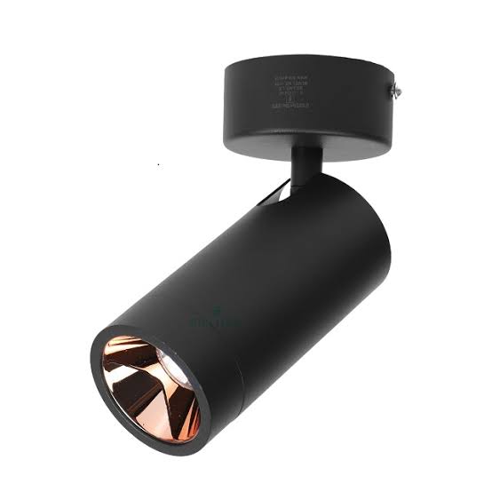 WhatsApp Image 2025-02-04 at 2.38.20 PM