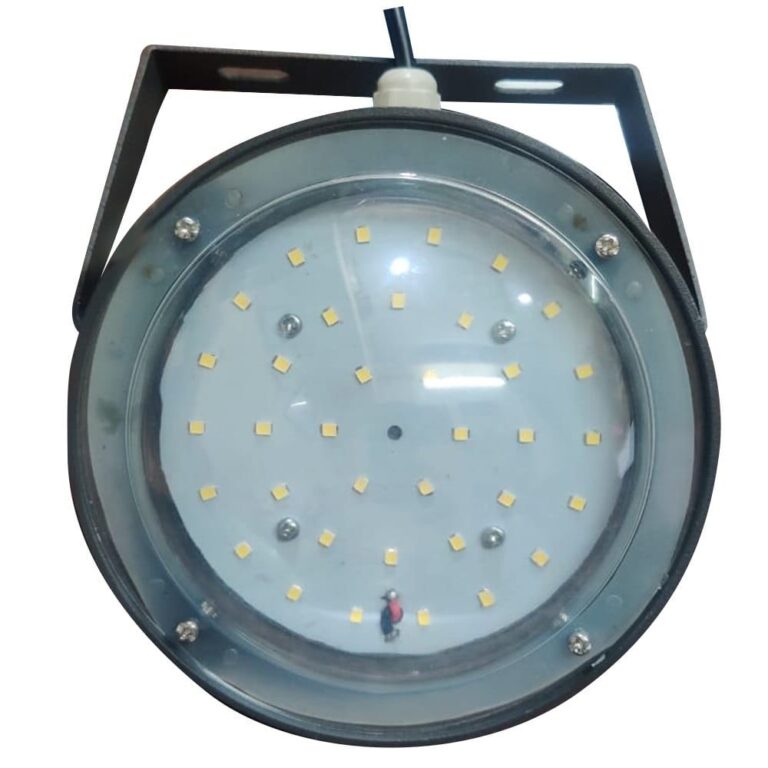 WhatsApp Image 2025-02-04 at 2.38.22 PM (2)